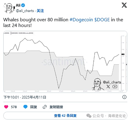 比特币的金色浪潮：这次牛市真的来了吗？