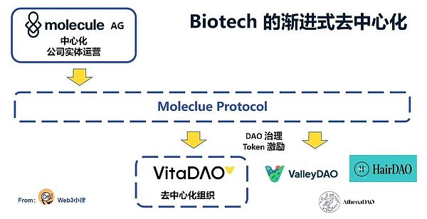 加密货币暗箱操作：市场里的那些猫腻