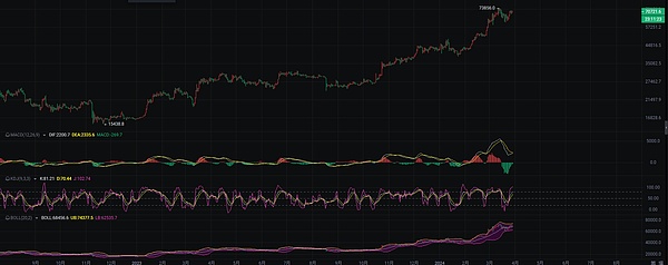 比特币疯狂飙升！我跟会员一起狂赚300万